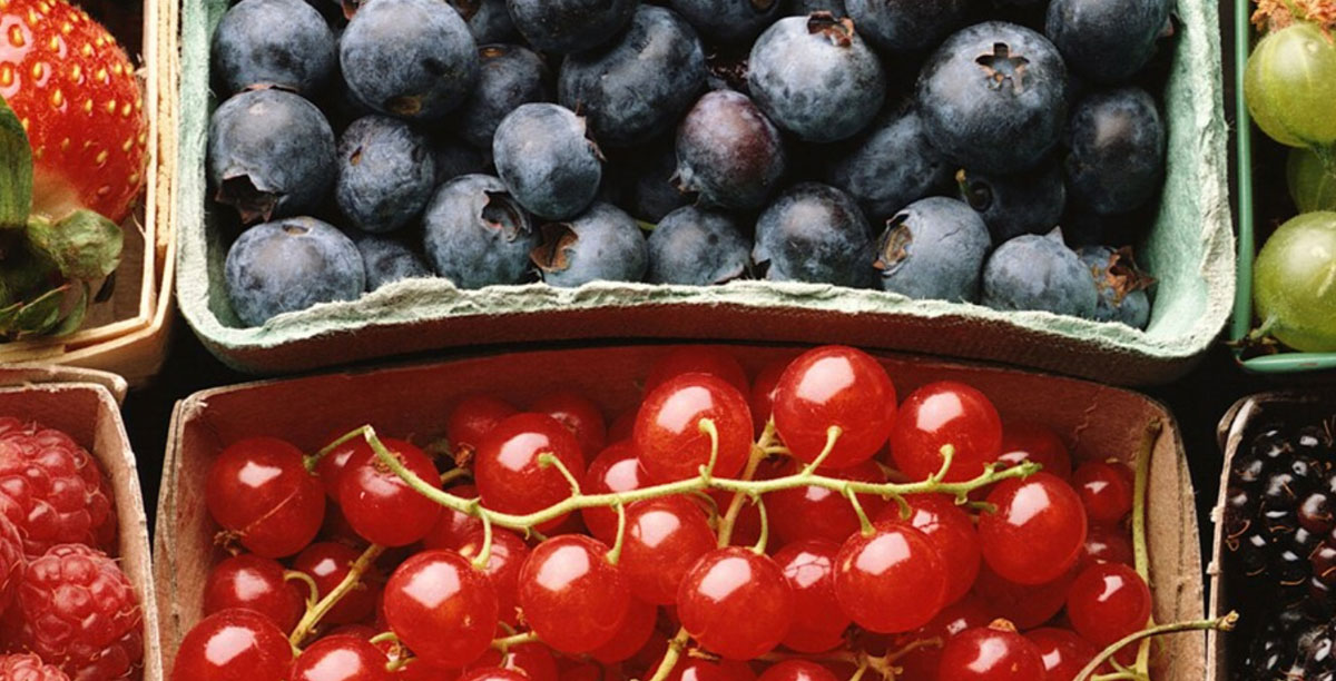 Industry - Food & Beverage Processing